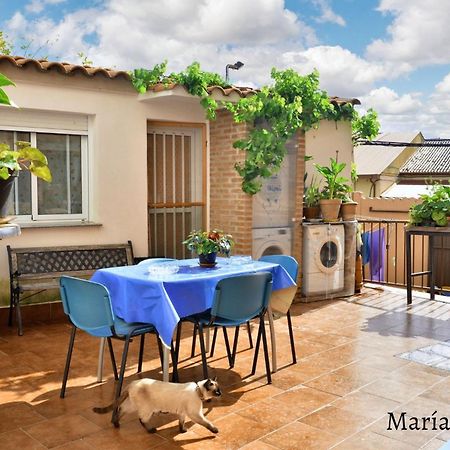Comfortable Apartment In Caceres 55 M² Welcoming Terrace Eksteriør billede