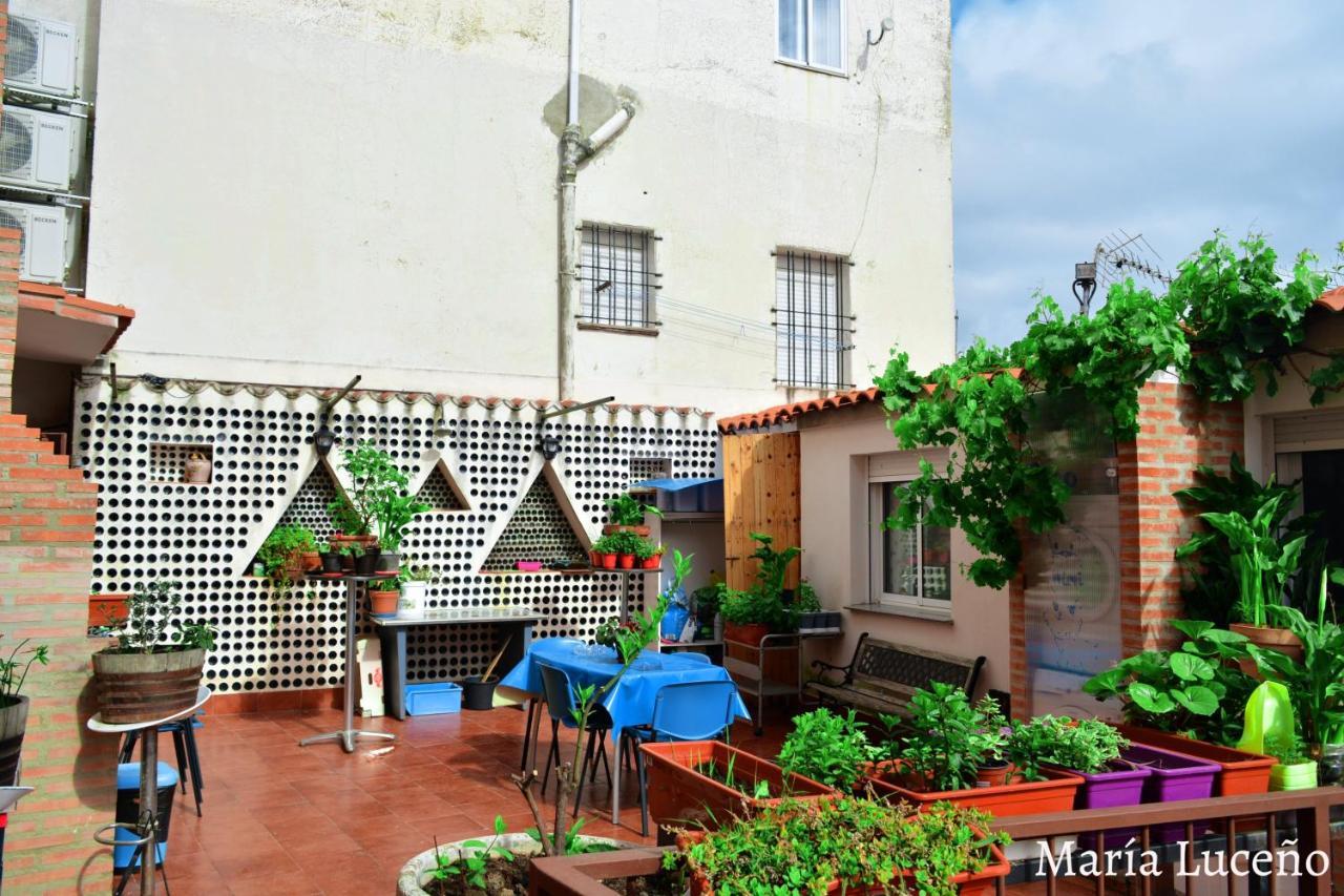 Comfortable Apartment In Caceres 55 M² Welcoming Terrace Eksteriør billede